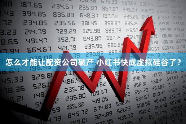 怎么才能让配资公司破产 小红书快成虚拟硅谷了？